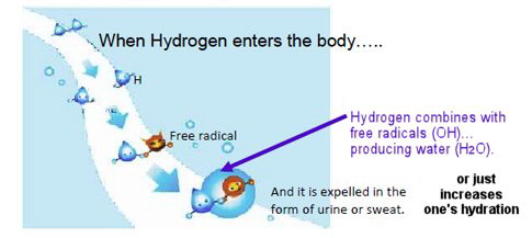 hydrogen_plus_free_radical_equals_water